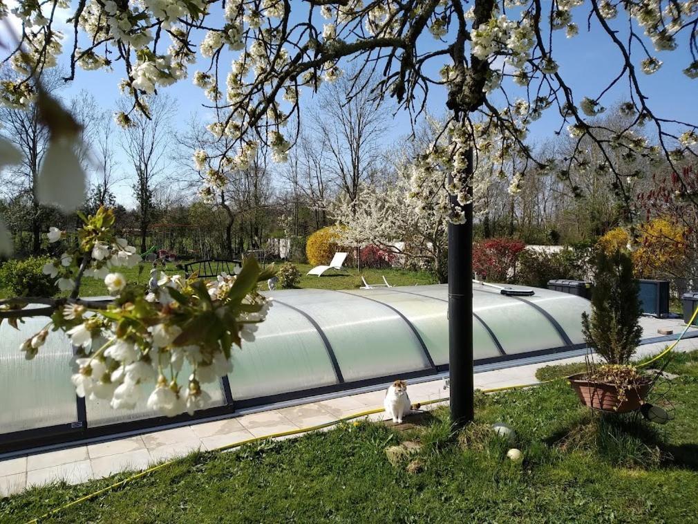 La Longere Des Gillettes Bed & Breakfast Bezenet Bagian luar foto
