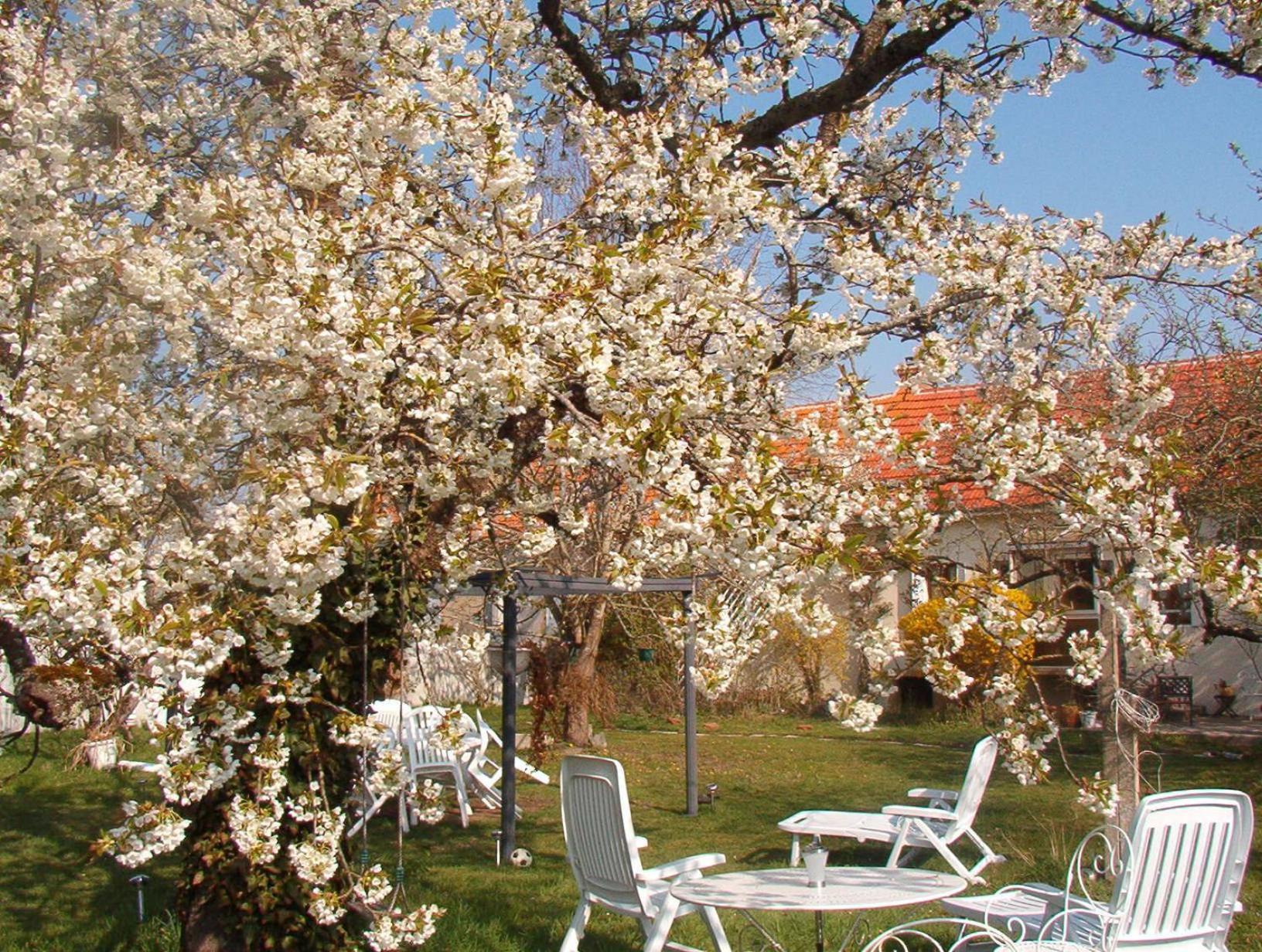 La Longere Des Gillettes Bed & Breakfast Bezenet Bagian luar foto